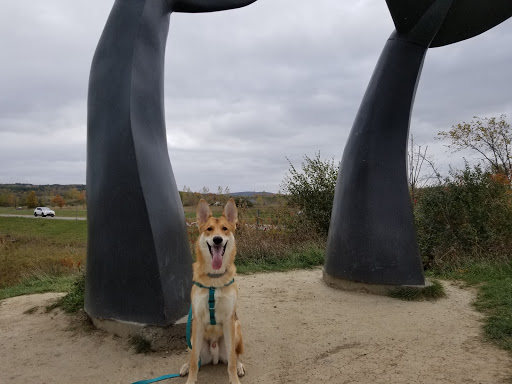 Monument «Reverence (Whales Tails)», reviews and photos, I-89, South Burlington, VT 05403, USA