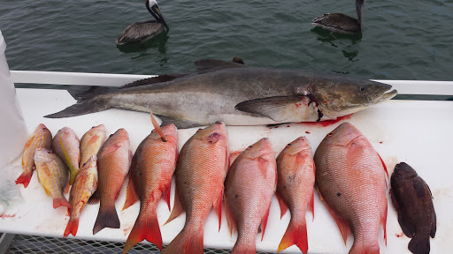 Fishing Charter «Good Time Charter Fishing», reviews and photos, 1111 Love St, Jupiter, FL 33477, USA