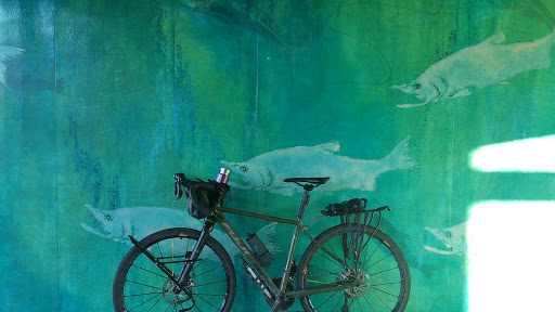 Bicycle Store «Performance Bicycle», reviews and photos, 4501 Roosevelt Way NE, Seattle, WA 98105, USA