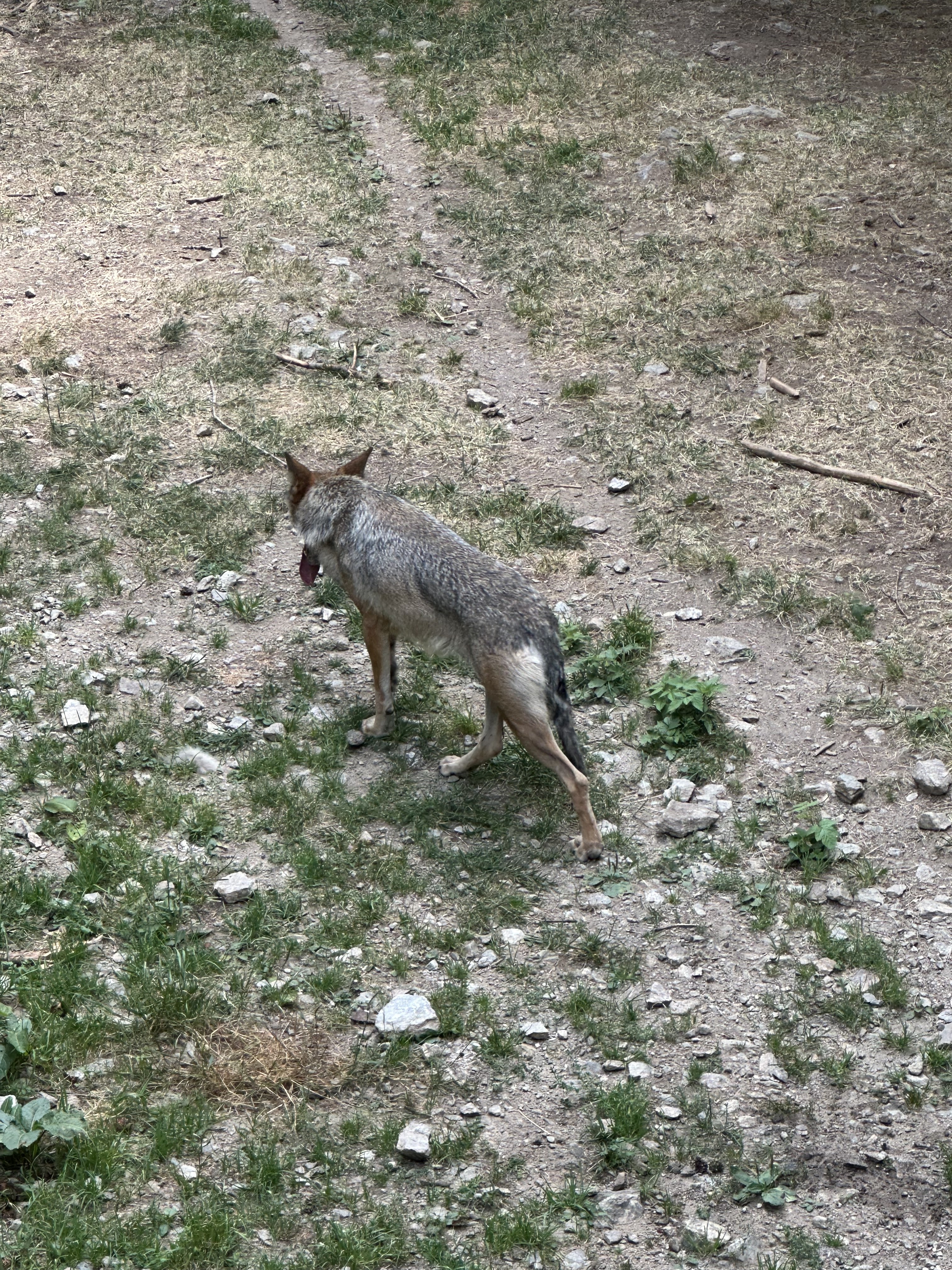 Photo n° 1 de l'avis de Limbo.a fait le 13/08/2023 à 09:56