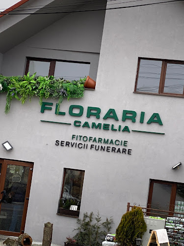 Floraria Camelia si Servicii funerare