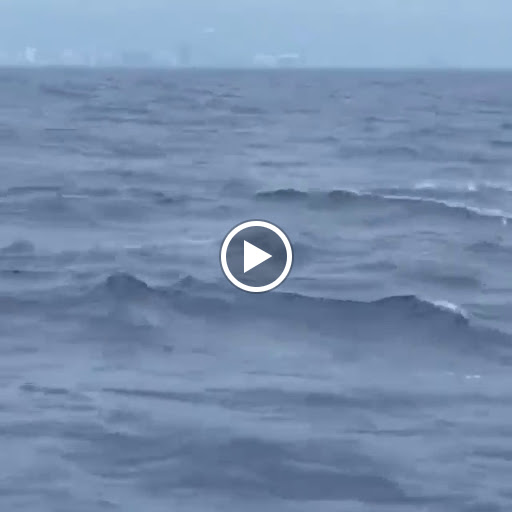 Plumber «Dick Rosher Plumbing inc», reviews and photos, 14020 Old Cutler Rd, Miami, FL 33158, USA