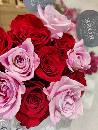 Supermarket «Publix Super Market at Inverrary Falls», reviews and photos, 5855 W Oakland Park Blvd Ste 203, Lauderhill, FL 33313, USA