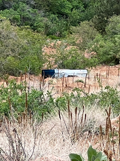 Tourist Attraction «Adventures Out West», reviews and photos, 1335 Manitou Ave, Manitou Springs, CO 80829, USA