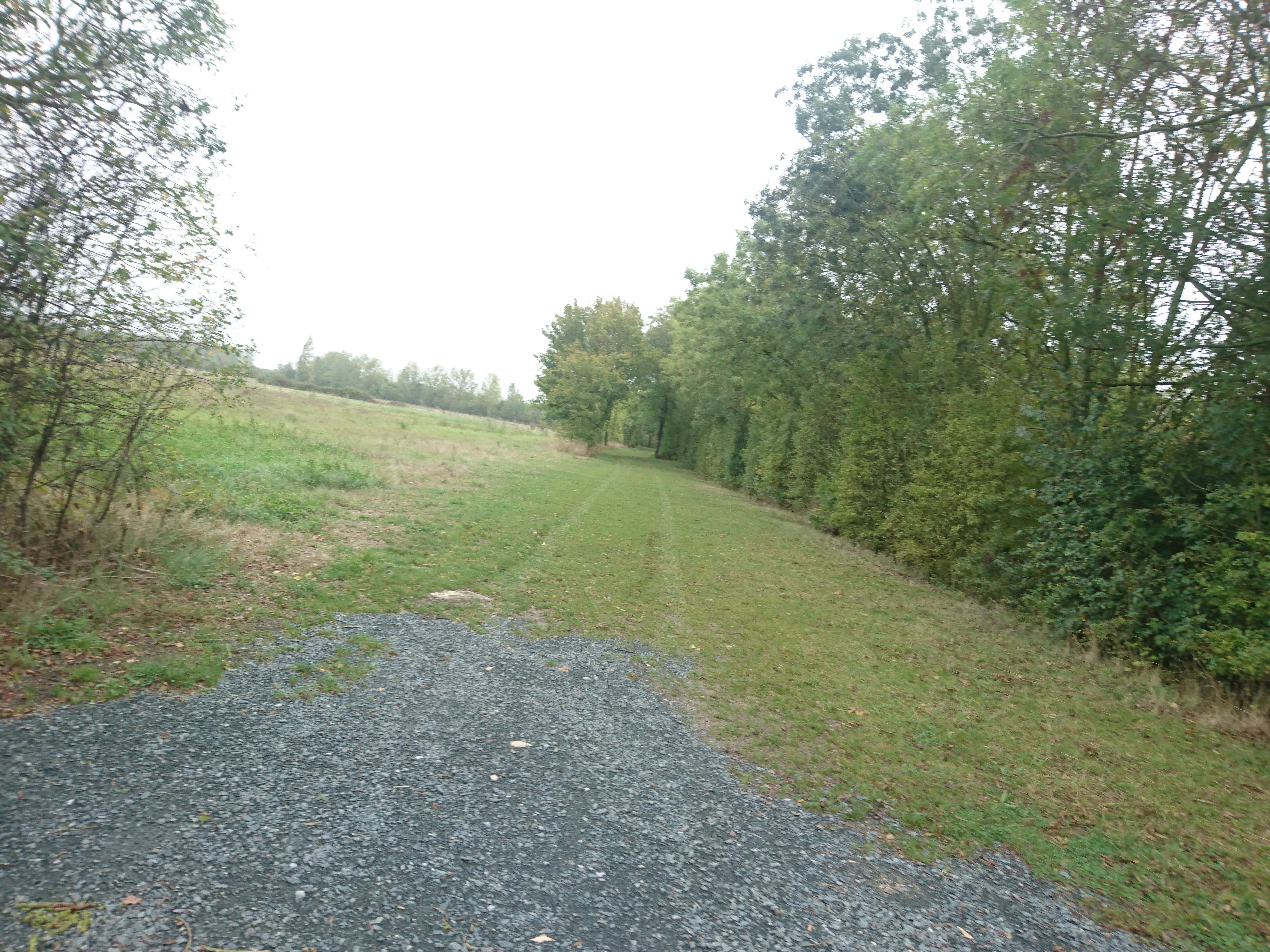 Photo n° 8 de l'avis de Saint.o fait le 26/09/2019 à 10:57