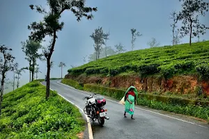 Nilgiri hills view point image