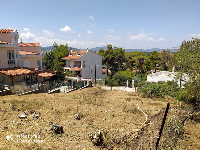 Κηπουροτεχνική | Δημιουργία & Συντήρηση κήπων | Βόρεια προάστεια - Αλλος