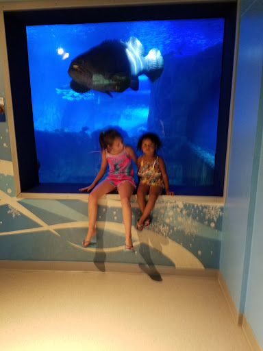 Tourist Attraction «World Peace Bell Center», reviews and photos, 425 York St, Newport, KY 41071, USA