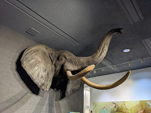 Museum «Delaware Museum of Natural History», reviews and photos, 4840 Kennett Pike, Wilmington, DE 19807, USA