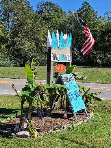 Surf Shop «Pungo Boardhouse», reviews and photos, 1789 Princess Anne Rd, Virginia Beach, VA 23456, USA