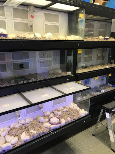 Pet Store «Pet Goods», reviews and photos, 1125 Central Park Ave, Scarsdale, NY 10583, USA