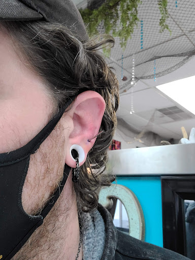 Tattoo Shop «Ace Tattoo & Piercing», reviews and photos, 2504 Hillsboro Ave N, Golden Valley, MN 55427, USA