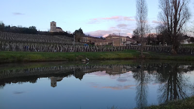 Château la fleur des amandiers à Montagne