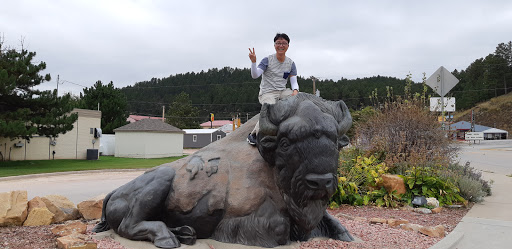 Motel «Super 8 Hill City/Mt Rushmore/ Area», reviews and photos