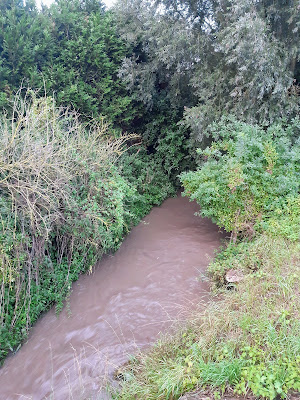 Riot de Beauvois à Beauvois-en-Cambrésis