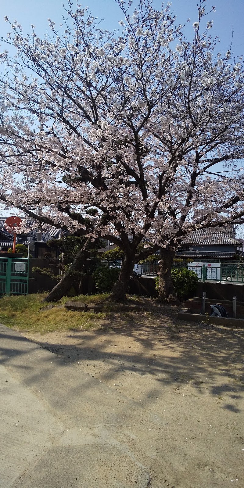 湊第1児童公園