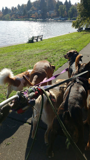 Park «Colman Park», reviews and photos, 1800 Lake Washington Blvd S, Seattle, WA 98144, USA