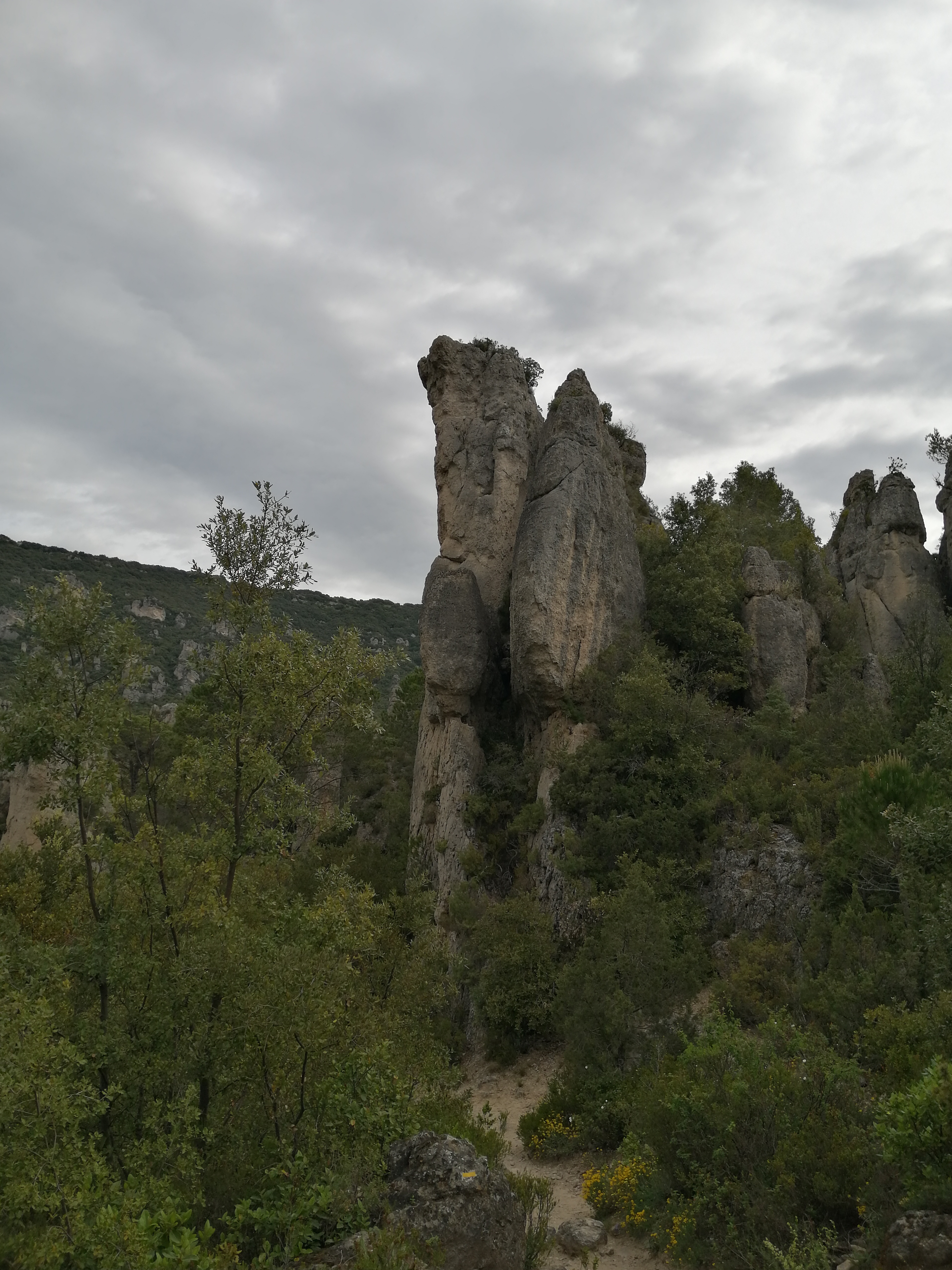 Photo n° 4 de l'avis de françoise.u fait le 02/06/2021 à 13:57