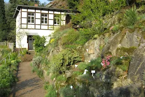 Pflanzengarten und Heimatmuseum image