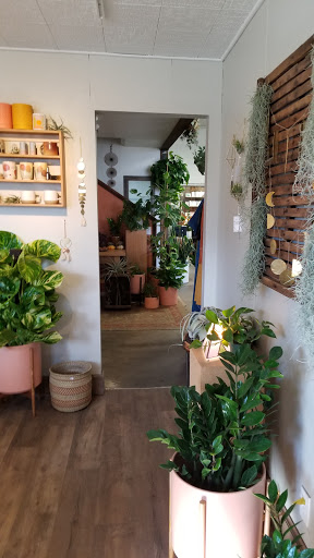 Garden «Sierra Water Gardens», reviews and photos, 2110 Dickerson Rd, Reno, NV 89503, USA