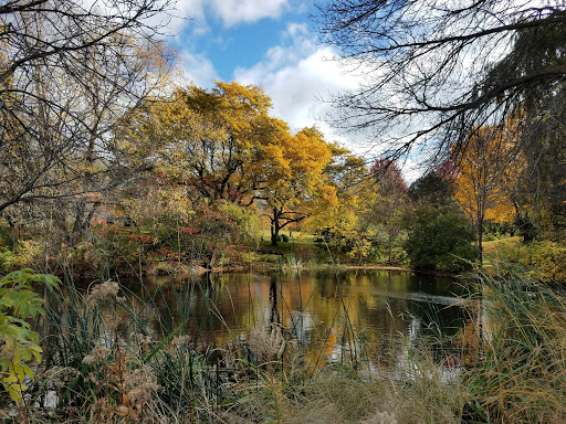 Golf Course «Birnamwood Golf Course», reviews and photos, 12424 Parkwood Dr, Burnsville, MN 55337, USA