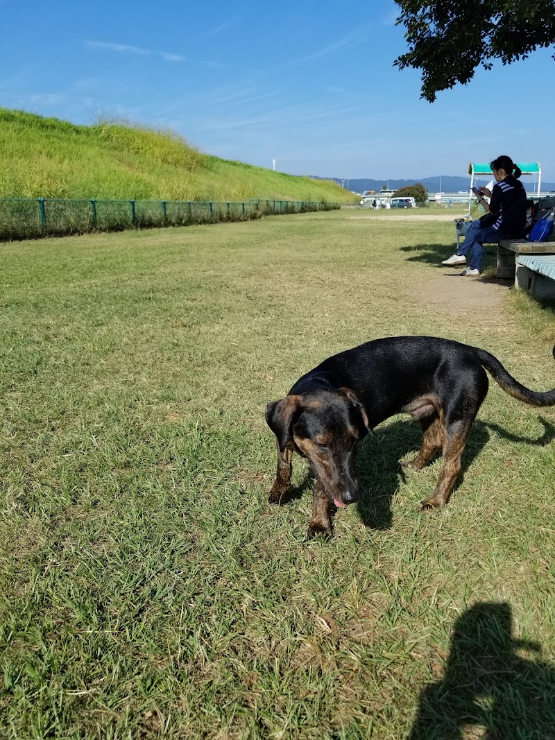 紀の川第1緑地ドッグラン 和歌山県和歌山市湊 犬専用公園 公園 グルコミ