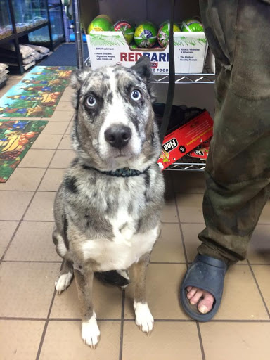 Pet Store «Pets of Portage», reviews and photos, 2219 W Wisconsin St, Portage, WI 53901, USA