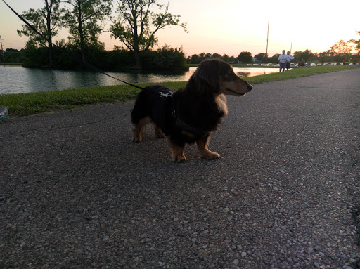 Park «Cottell Park», reviews and photos, 5847 Irwin Simpson Rd, Mason, OH 45040, USA