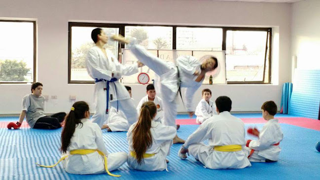 Opinii despre ESCUELA DE KARATE SENSEI FELIPE SÁEZ în Concepción - Escuela