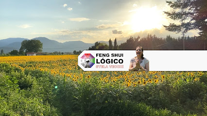 Feng Shui Lógico