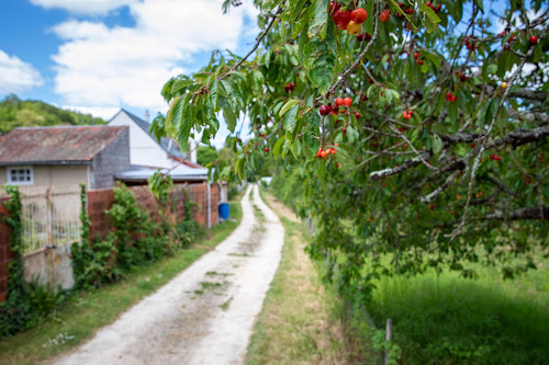 Gîte de Gâtines à Seigy