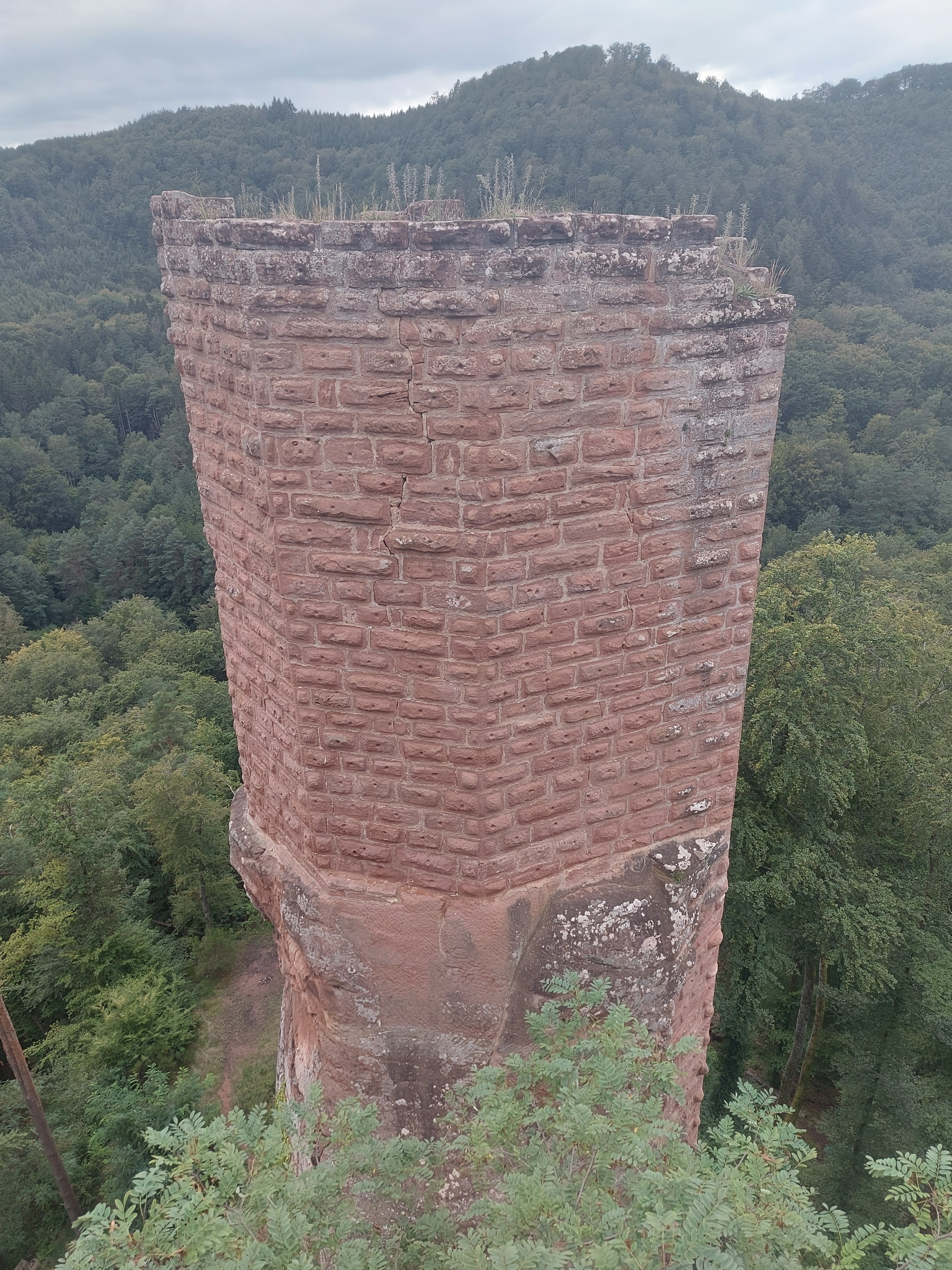 Photo n° 3 de l'avis de Marie-Luise.e fait le 04/09/2023 à 13:59