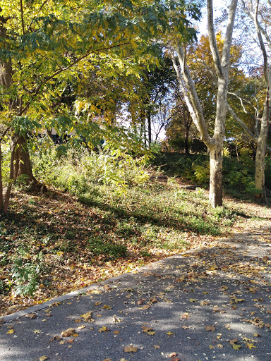 Park «Doughboy Park», reviews and photos, Woodside Ave, Woodside, NY 11377, USA