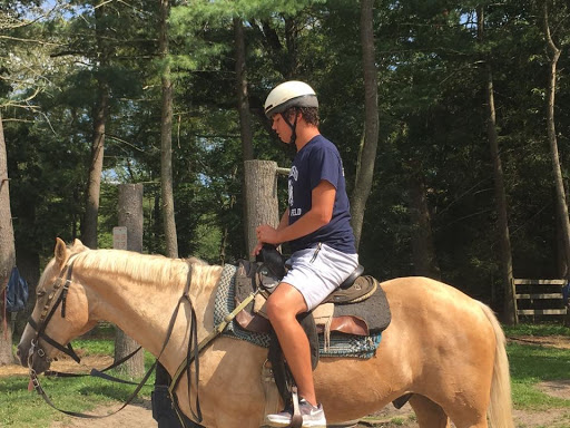 Tourist Attraction «C and L Stables», reviews and photos, 1095 Ives Rd, East Greenwich, RI 02818, USA