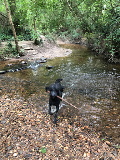 Park «Little Nancy Creek Park», reviews and photos, 4012 Peachtree Dunwoody Rd, Atlanta, GA 30342, USA