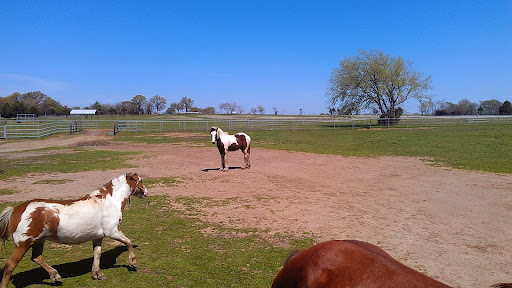 Ranch «Sharkarosa Wildlife Ranch», reviews and photos, 11670 Massey Rd, Pilot Point, TX 76258, USA