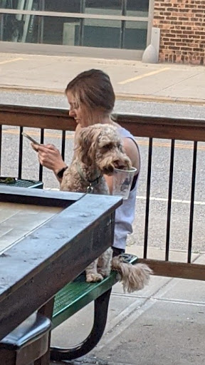 Brewery «Brick And Barrel», reviews and photos, 1844 Columbus Rd, Cleveland, OH 44113, USA