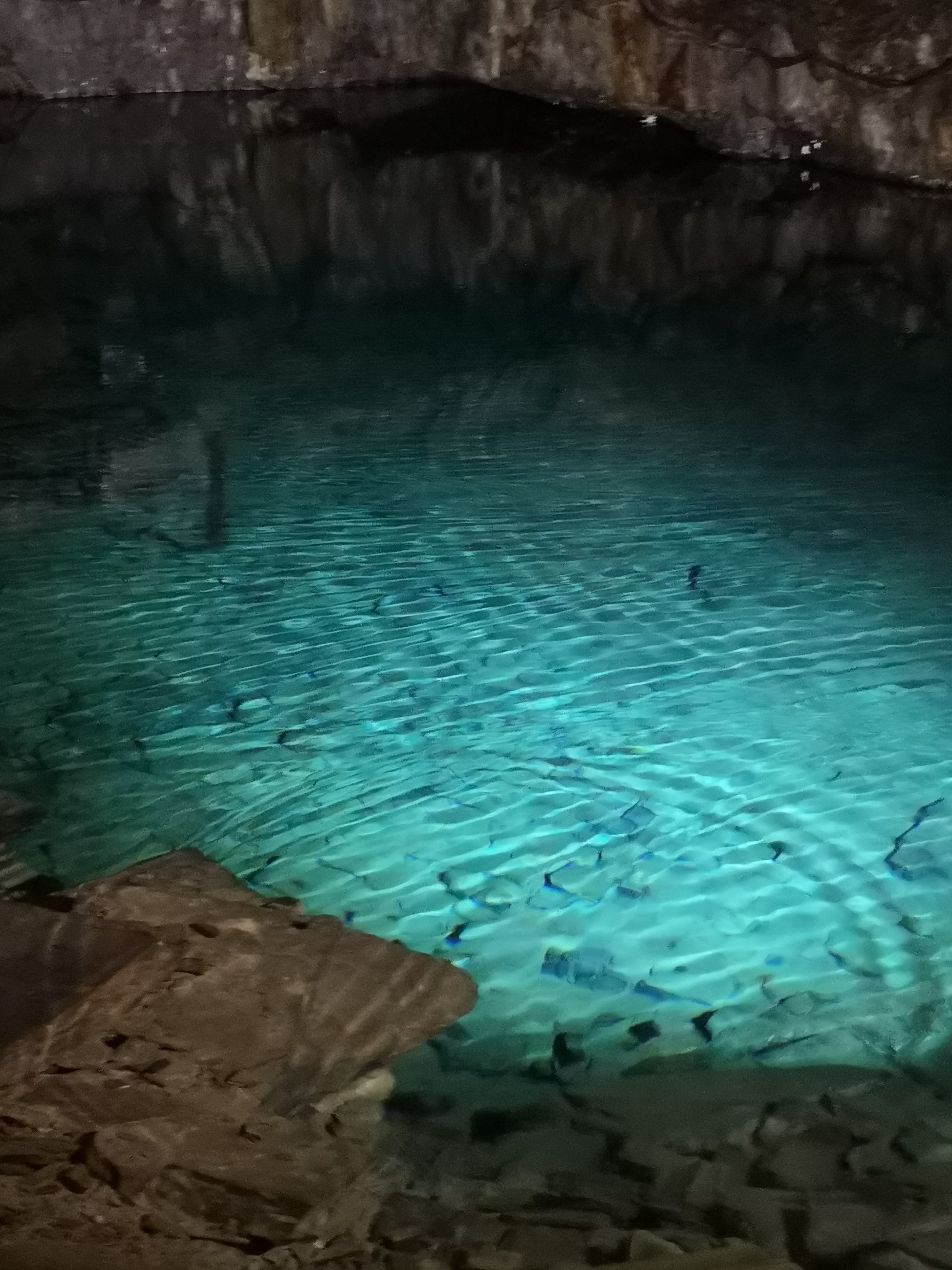 Photo n° 3 de l'avis de Syndie.m fait le 26/08/2021 à 21:17