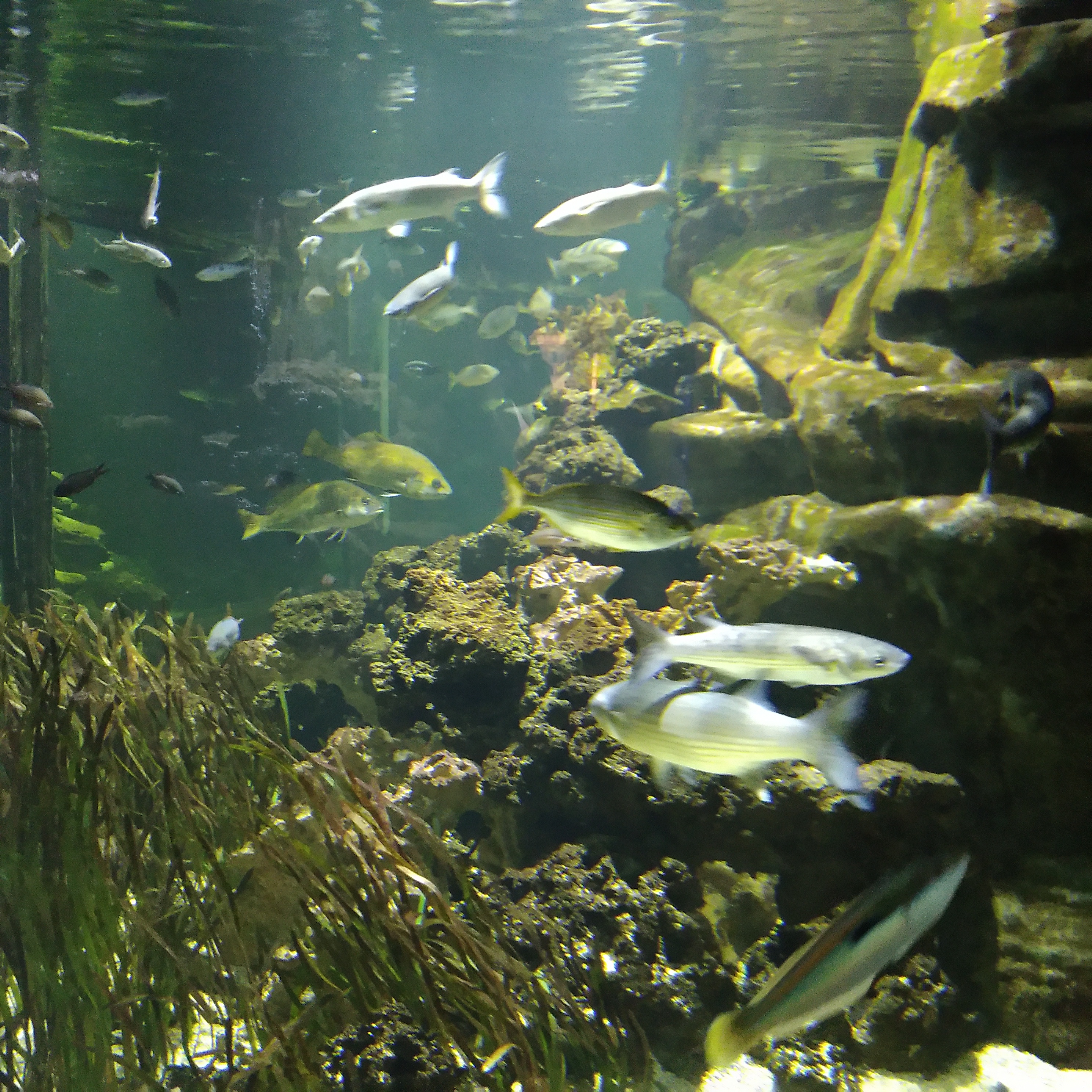 Photo n° 1 de l'avis de Carda.o fait le 10/12/2023 à 10:19