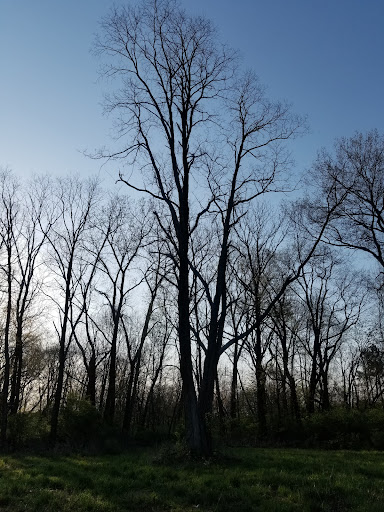 Park «Blacklick Woods Metro Park», reviews and photos, 6975 East Livingston Avenue, Reynoldsburg, OH 43068, USA