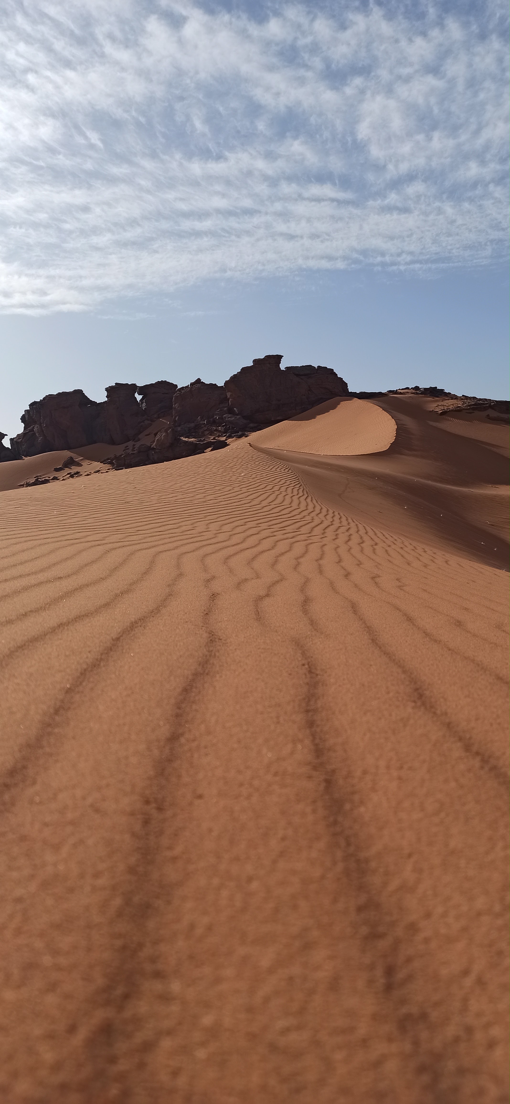 Photo n° 3 de l'avis de Angélique. fait le 20/02/2019 à 20:57