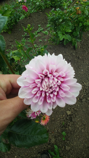 Florist «Generations Floral Art and Artisans», reviews and photos, 23051 E Main St, Armada, MI 48005, USA