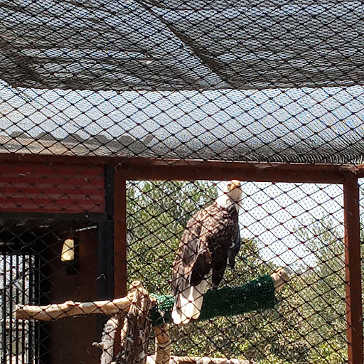 The Teaching Zoo at Moorpark College image