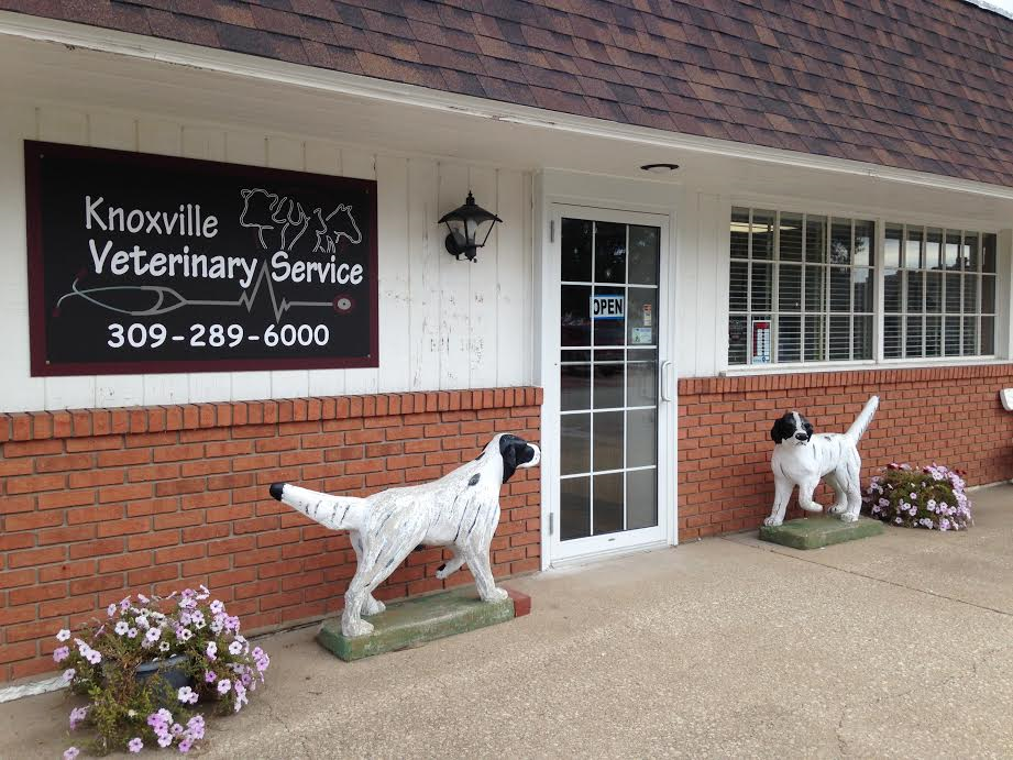 Knoxville Veterinary Service