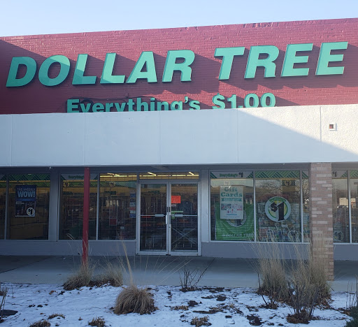 Dollar Store «Dollar Tree», reviews and photos, 3055 W 159th St, Markham, IL 60428, USA