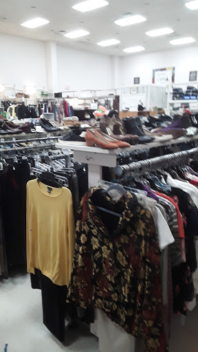 Thrift Store «Holy Trinity Thrift Shop», reviews and photos, 3200 N Mcmullen Booth Rd, Clearwater, FL 33761, USA
