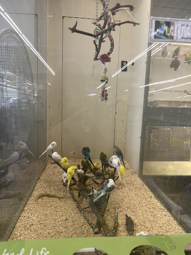 Pet Store «Sierra Fish and Pets», reviews and photos, 601 S Grady Way Suite M, Renton, WA 98057, USA