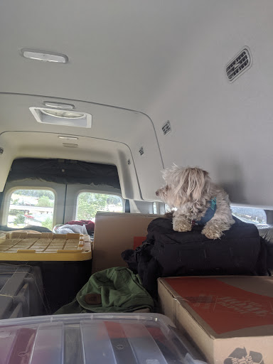 Pet Groomer «Dogma Pet Supply & Dog Wash», reviews and photos, 29017 Hotel Way, Evergreen, CO 80439, USA