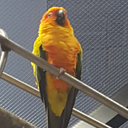 Grocery Store «Bravo Supermarkets», reviews and photos, 179 S Ocean Ave, Patchogue, NY 11772, USA