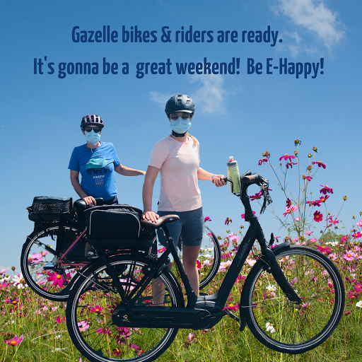 Mostly E-Bikes image